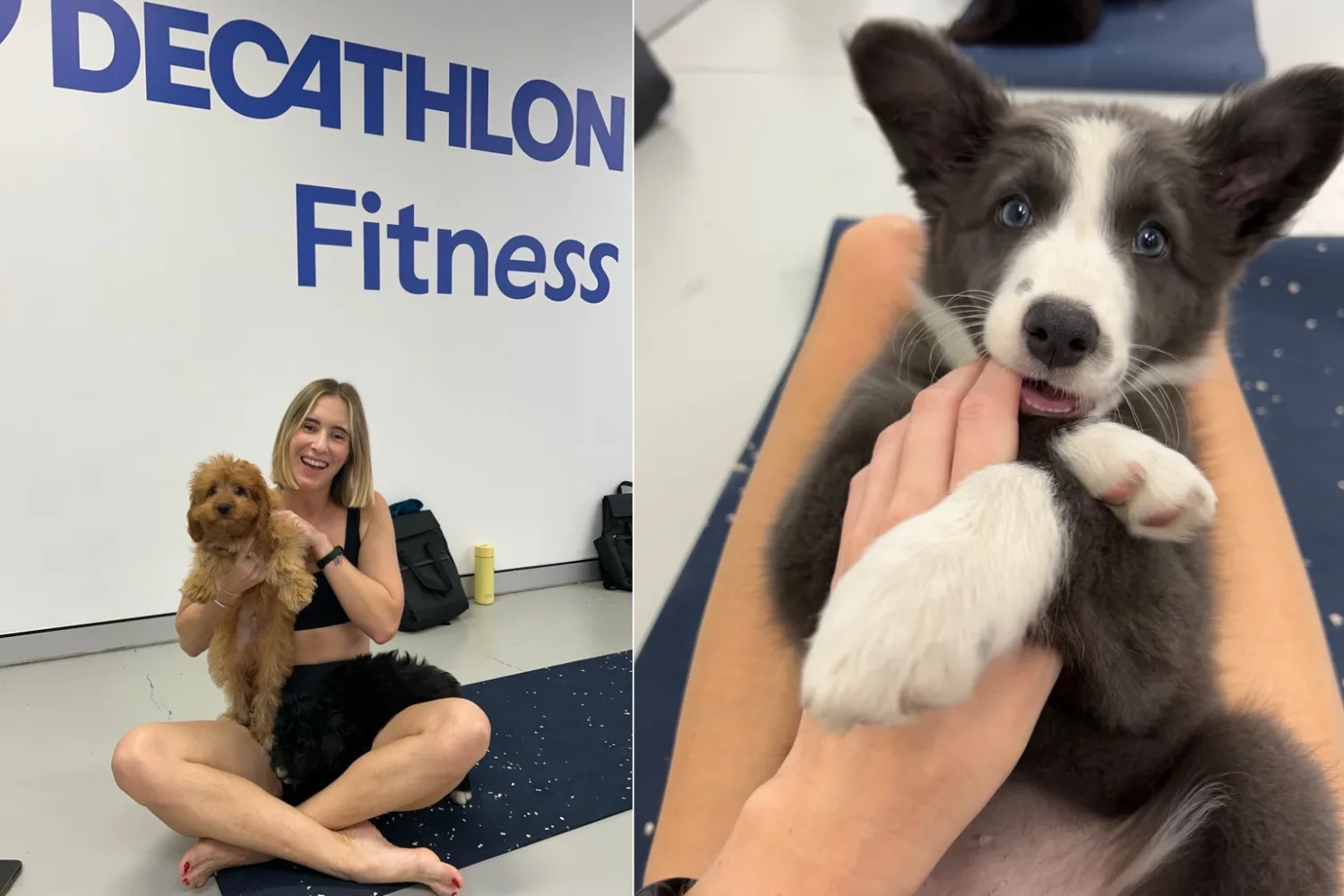 woman holding dog on yoga mat