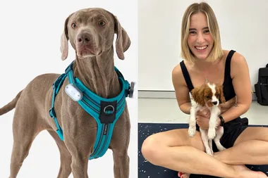 Dog outdoor gear: Shop everything you need for your next adventure!