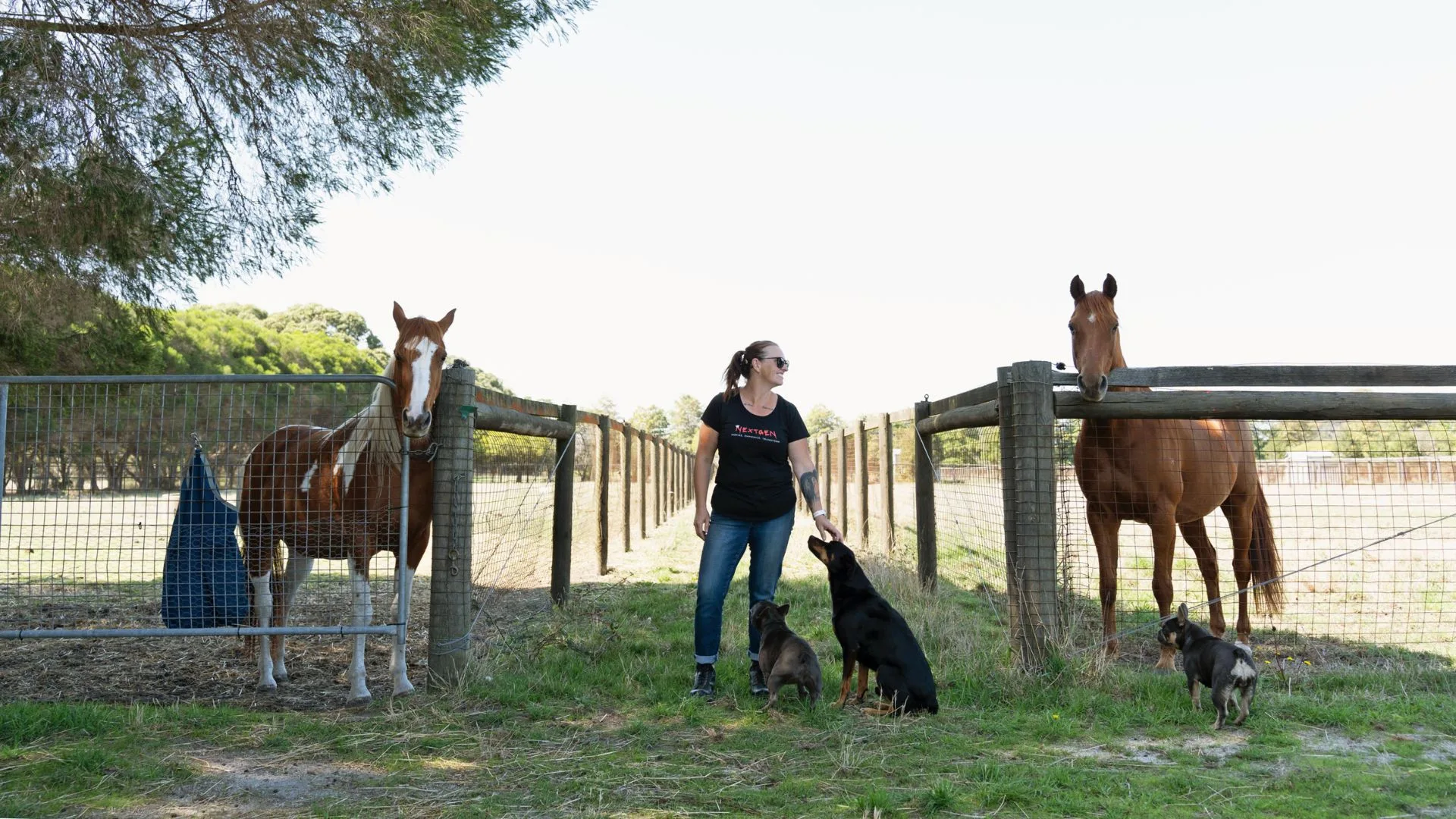 Woman standing on farm with two horses and two dogs