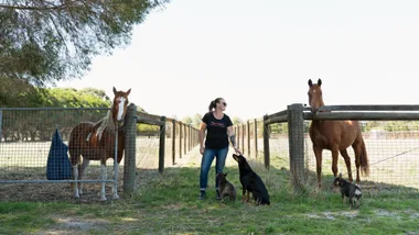 Woman standing on farm with two horses and two dogs