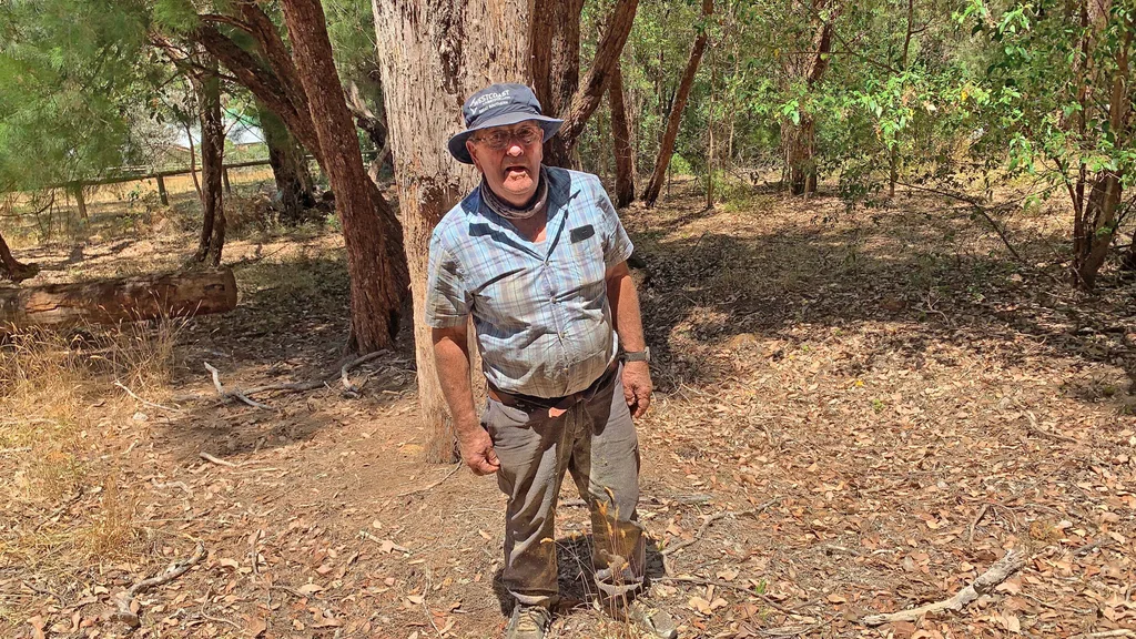 A man on the farm