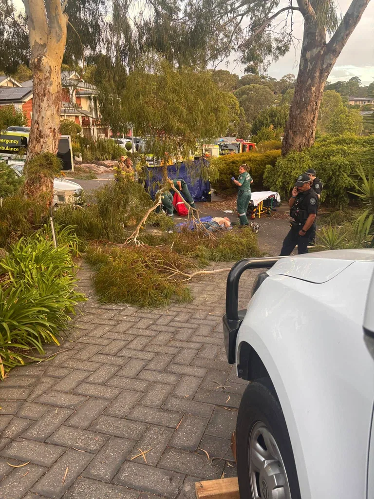 First responders helping John when he was crushed by a tree. They are in the driveway.