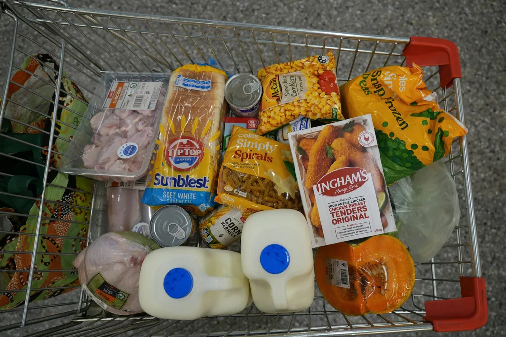 A shopping trolley filled with ingredients for home cooked meals