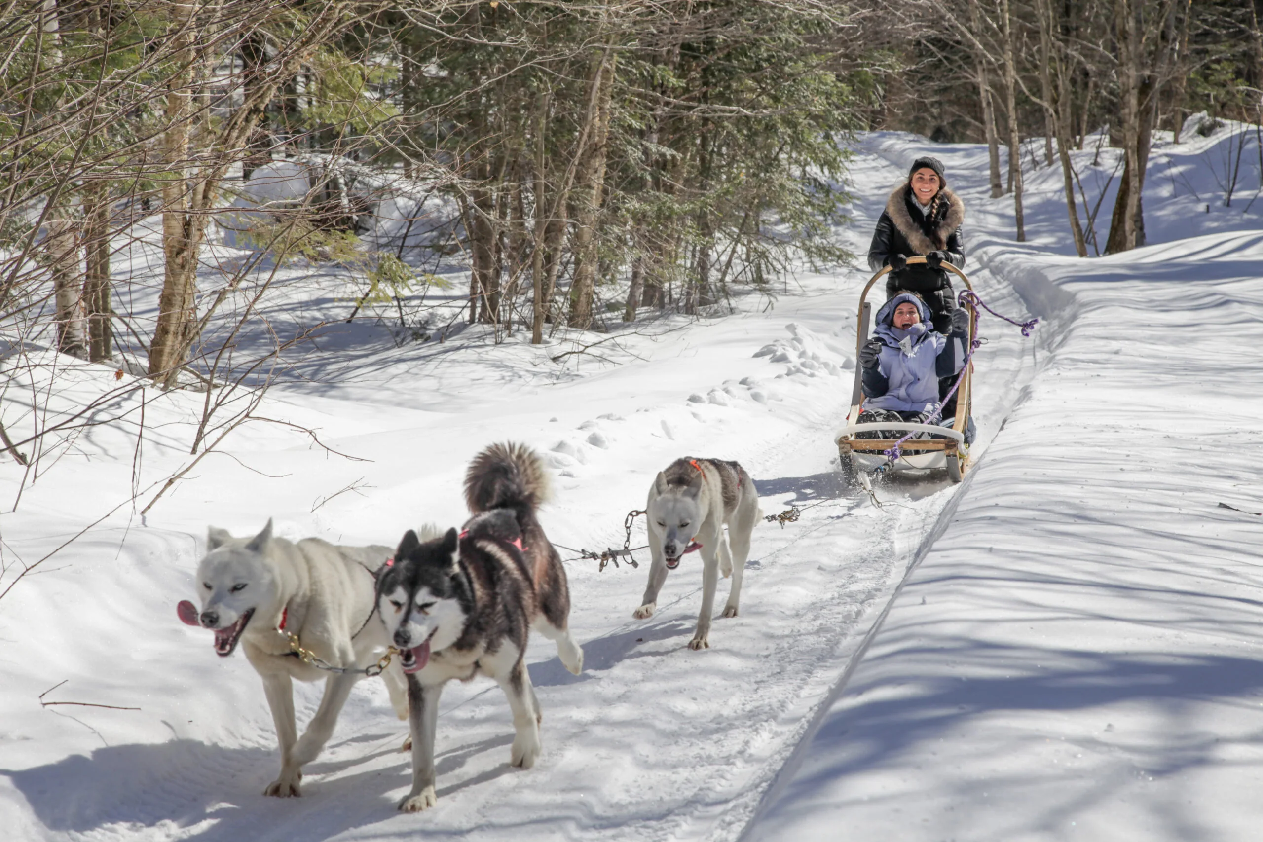Dogsledding in Quebec Canada