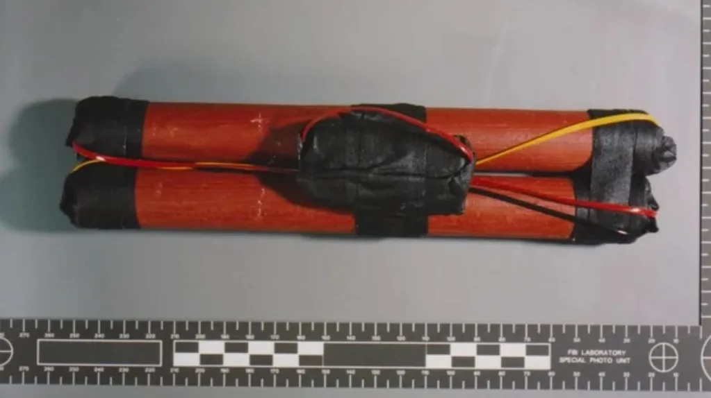 sticks of fake dynamite