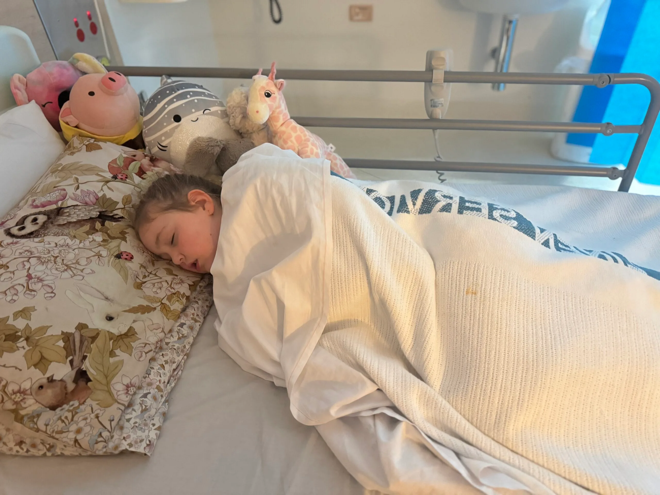 A little girl laying asleep in a hospital bed with her stuffed animals