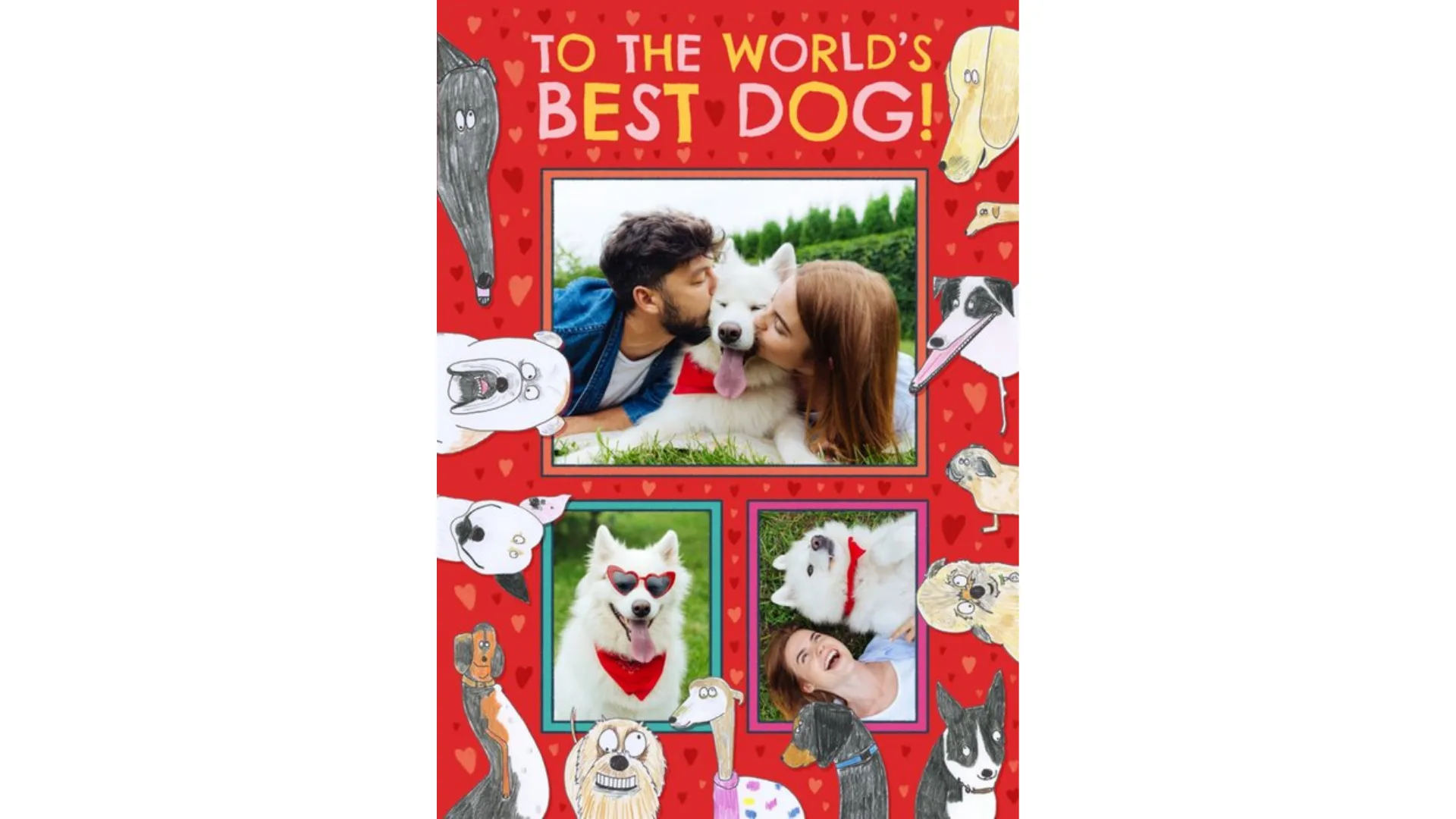 A collage of images dedicated to 'the world's best dog'.