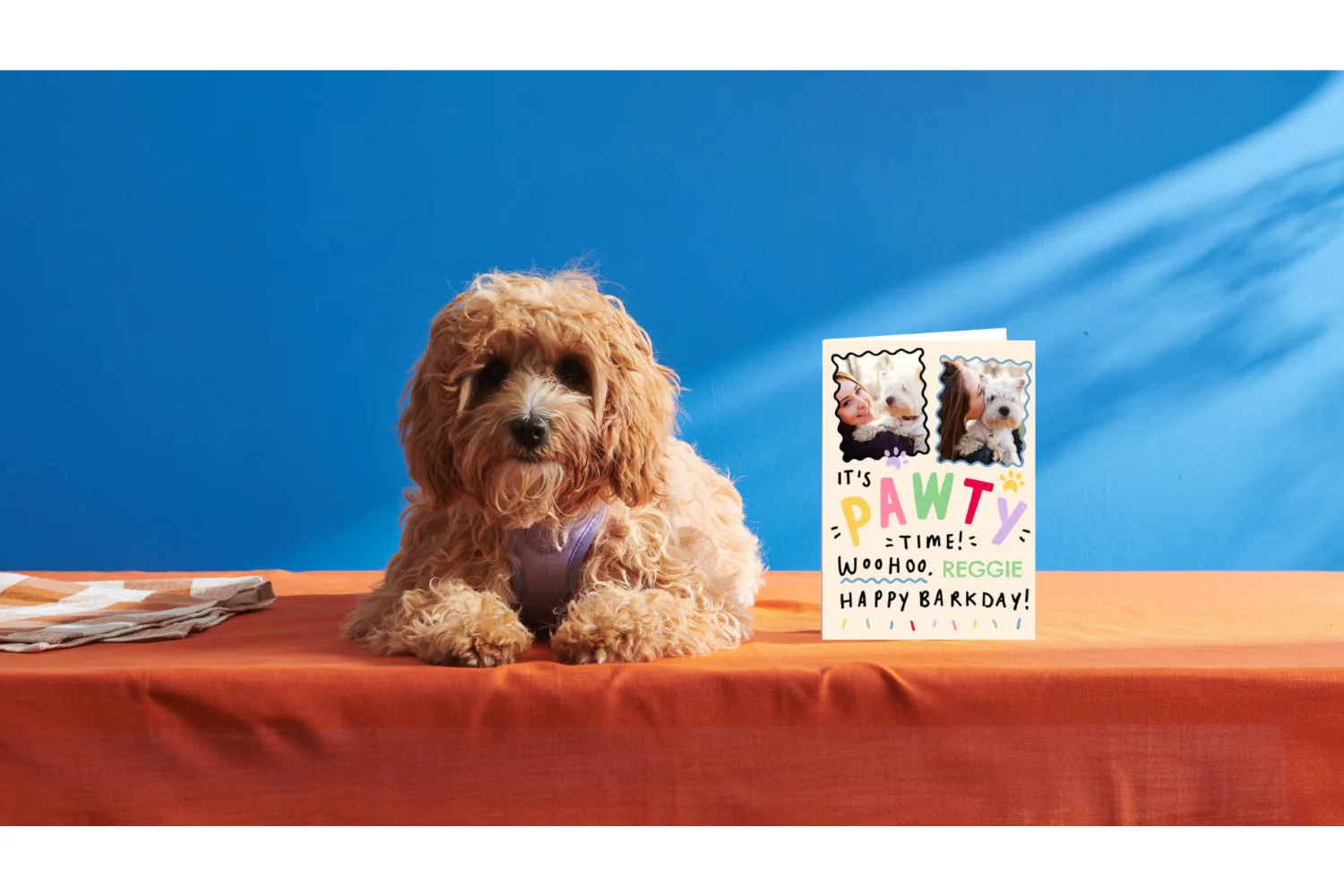 A cute dog sits next to a personalised greeting card.