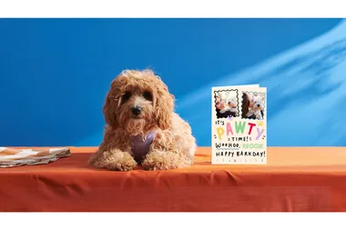 A cute dog sits next to a personalised greeting card.
