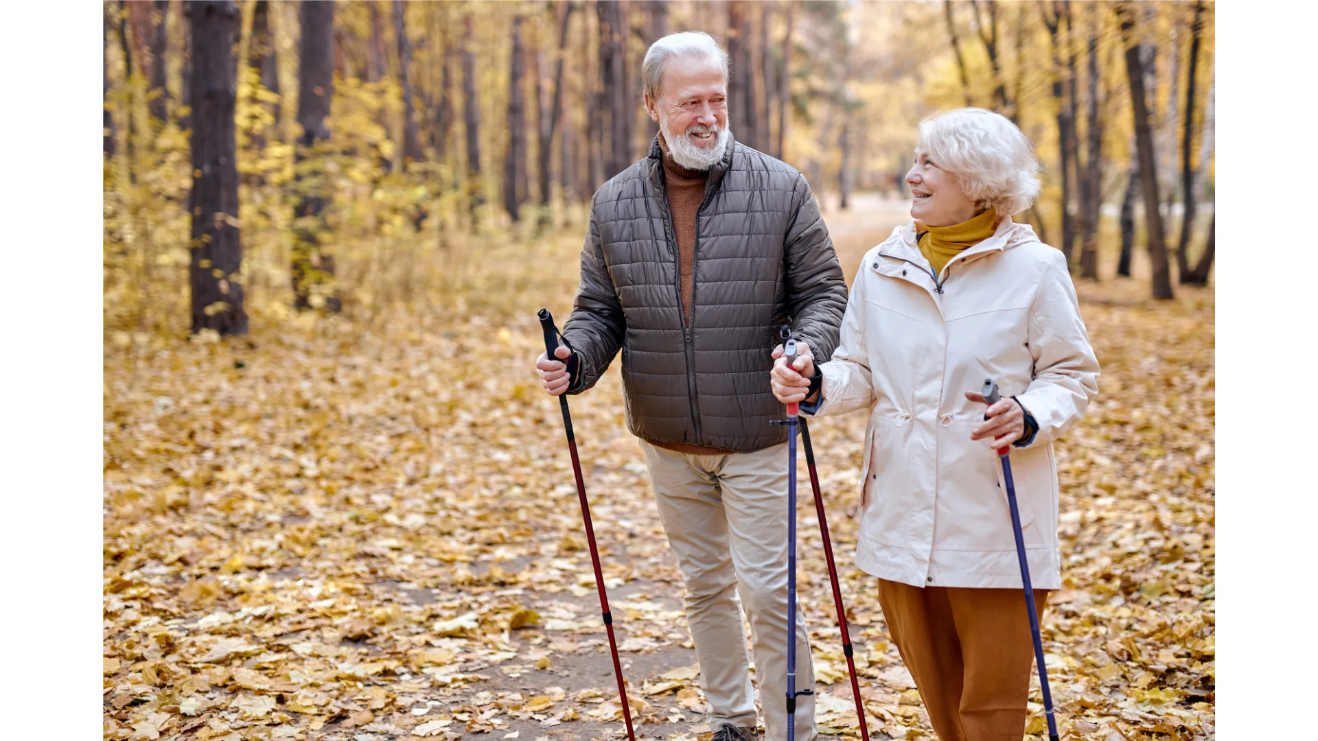 An older couple go Nordic walking through the woods.