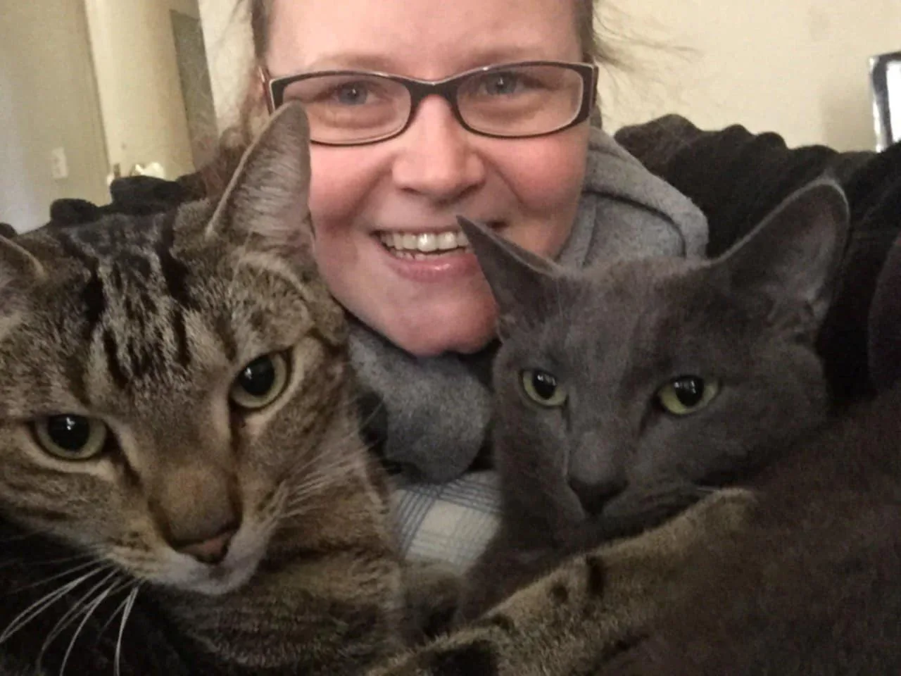 A woman with two gray cats