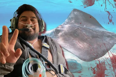 In the forefront is Eli doing the peace symbol with his fingers. He's snaked with tubes. In the background is a stingray in the water. In the right hand corners are blood splats.