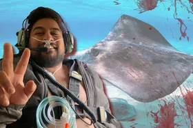 In the forefront is Eli doing the peace symbol with his fingers. He's snaked with tubes. In the background is a stingray in the water. In the right hand corners are blood splats.