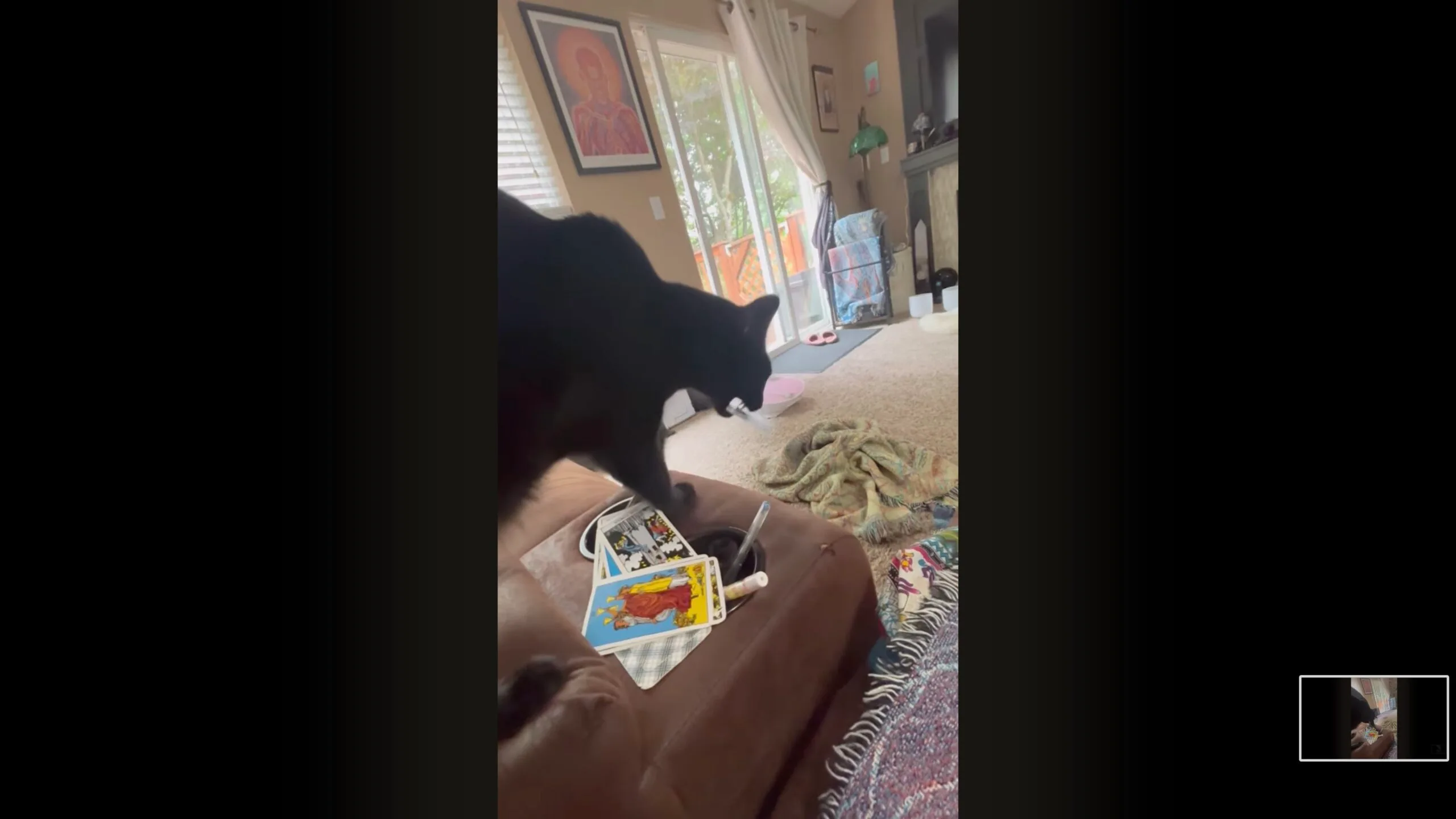 Black cat on chair with Tarot cards
