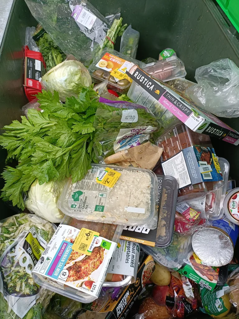 grocery items rescued from the dumpster