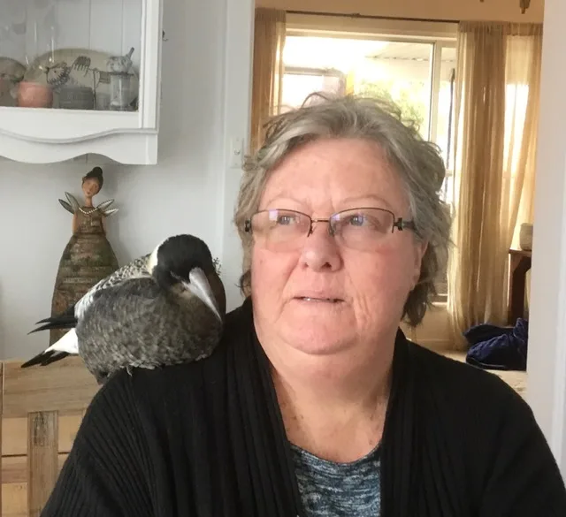 older woman with grey hair, magpie on her shoulder