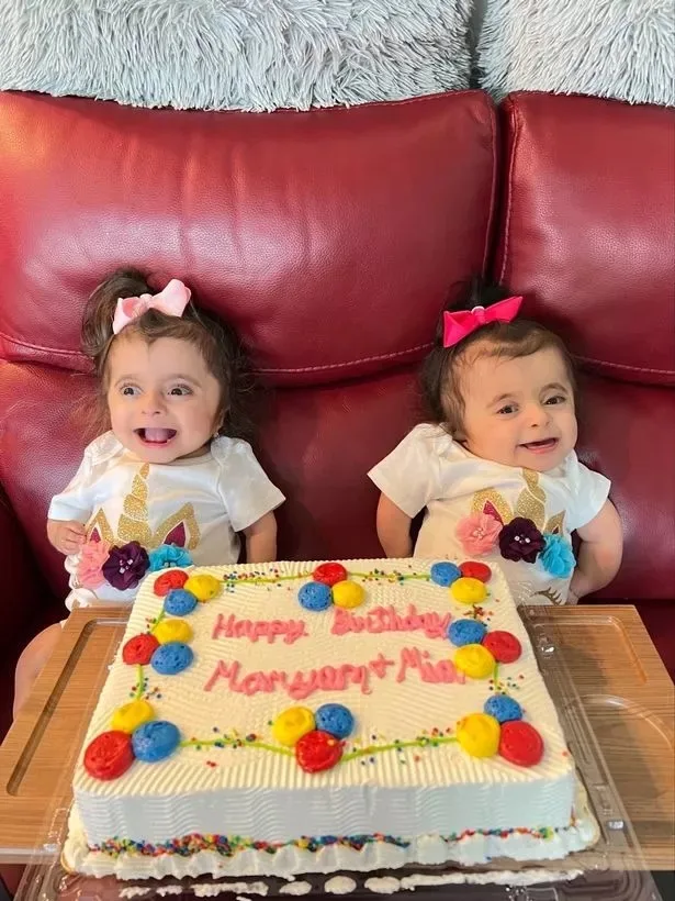 Twin babies with a birthday cake
