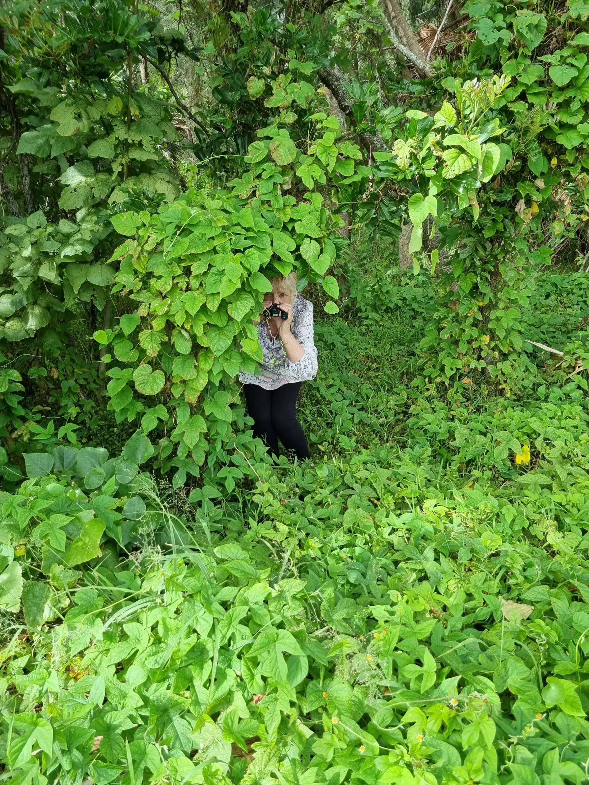 Elderly woman hiding behind tress holding up binoculars and looking into camera.