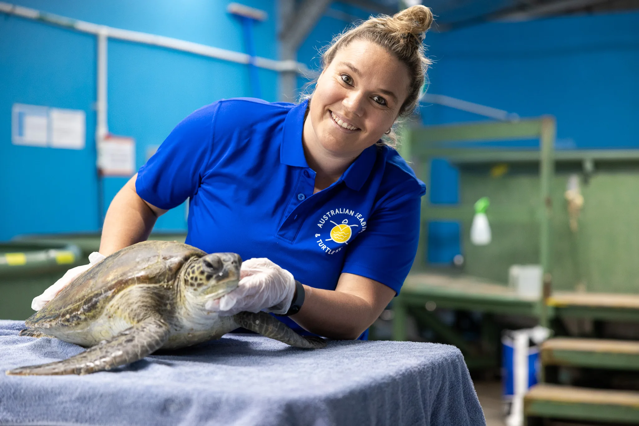 Amanda (pictured) says it was helping save a sea turtle she discovered in distress that sparked her passion for caring for stranded sea life.