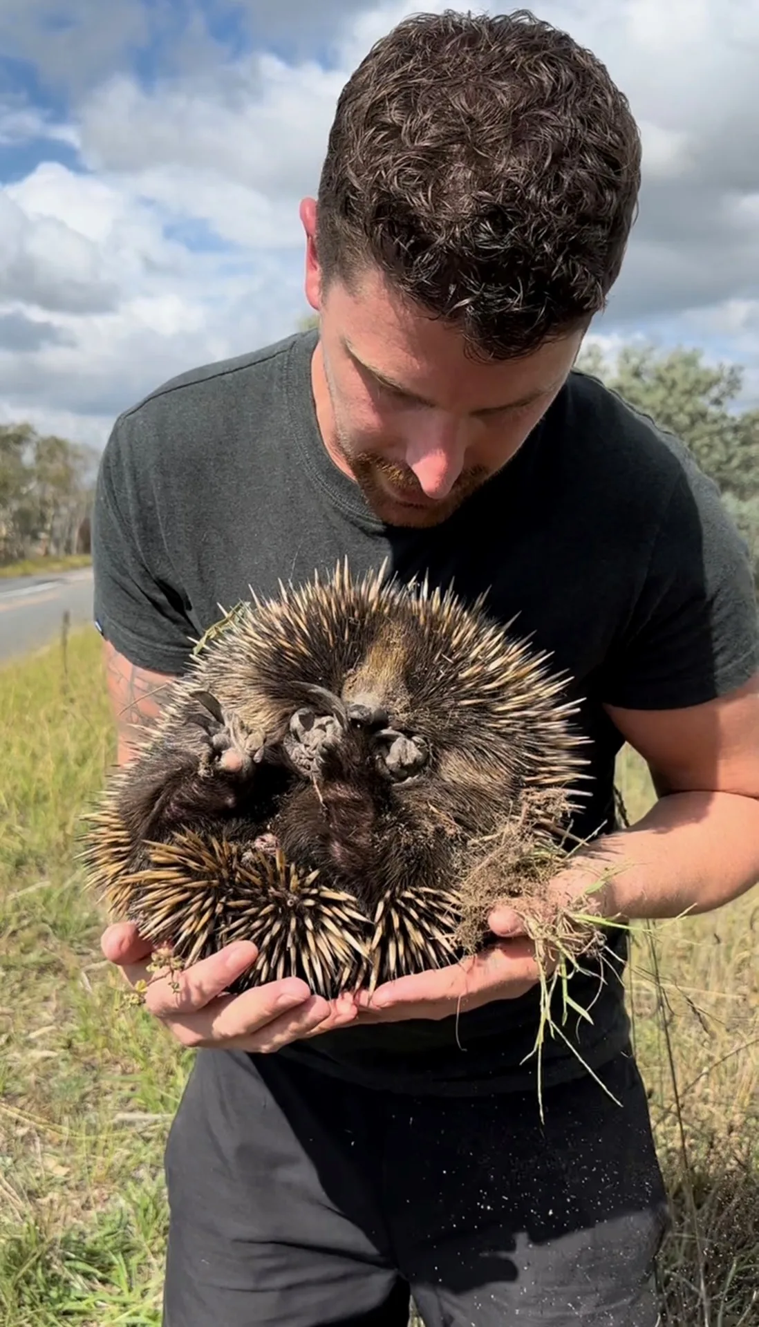 Image of wildlife carer holding echidna