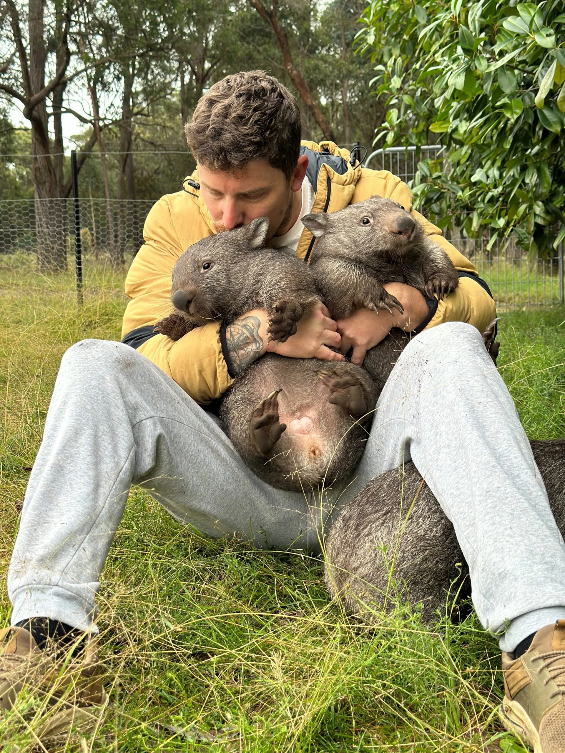 Image of wildlife carer kissing a wombat
