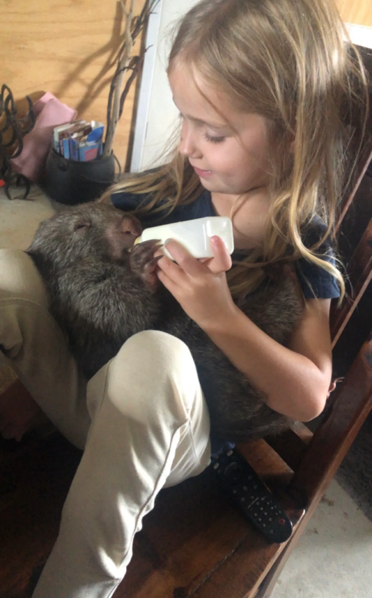 girl nurses wombat feeding it a bottle
