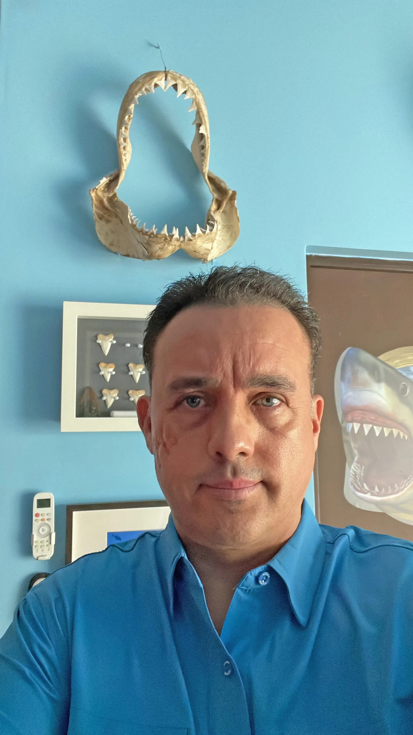 man in blue shirt in front of shark memorabilia's 