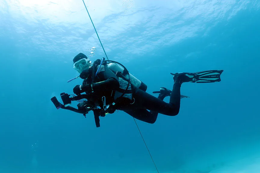 Image of shark attack survivor scuba diving
