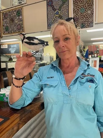 A woman standing in an outback Australian pub holding an orphaned bird