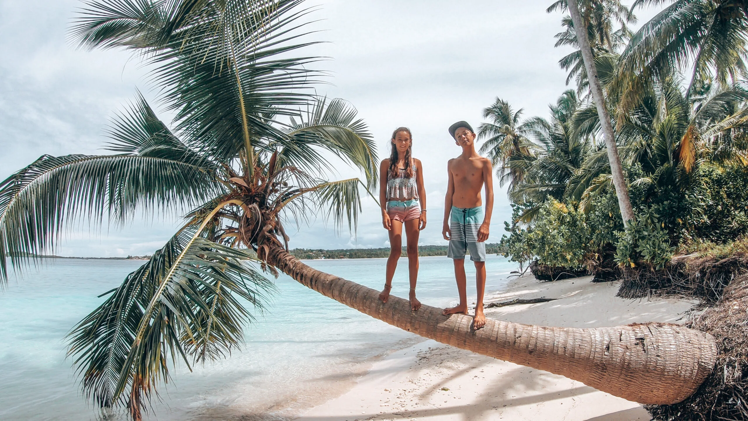 siblings standing on palm tree