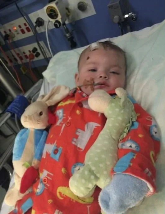 baby with stuffed toys