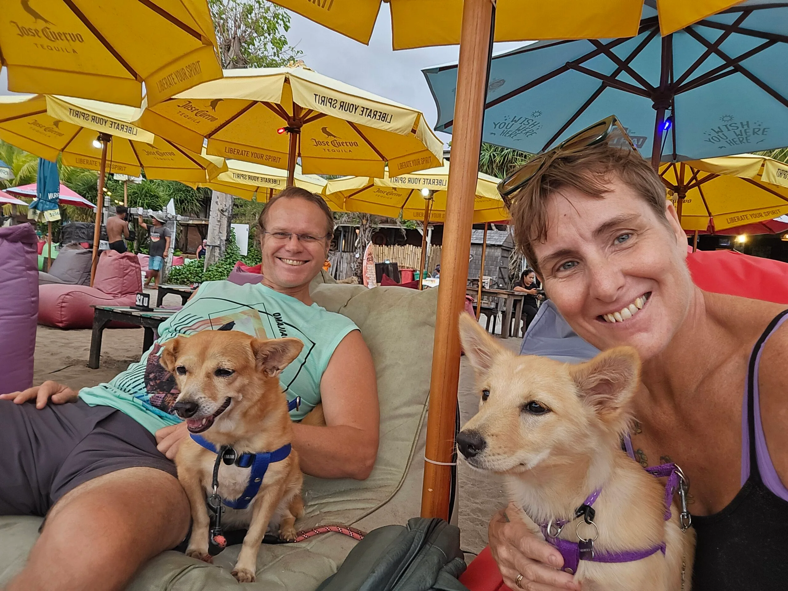 woman and man under unbrella with dogs 