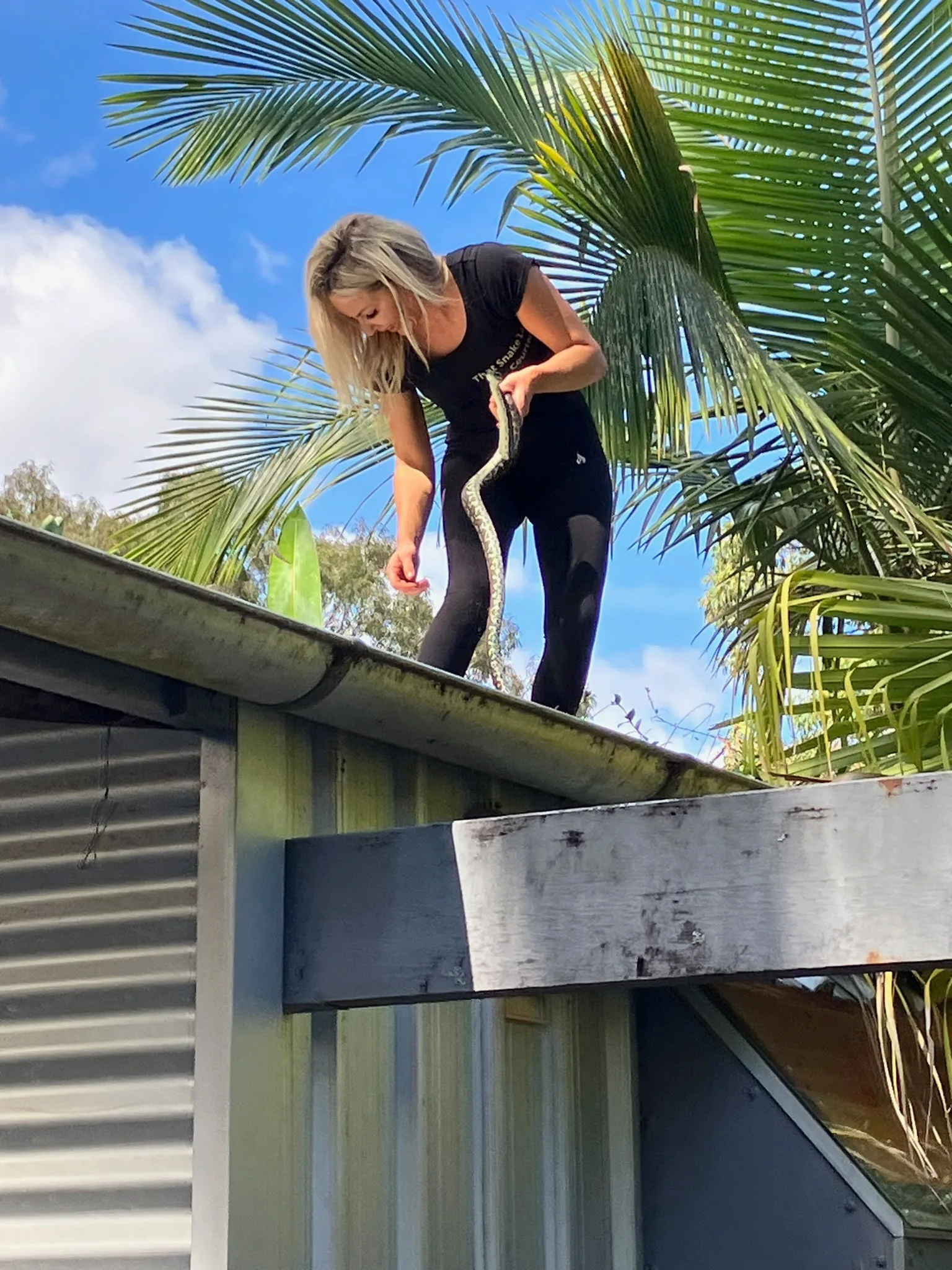 woman removing snake from roof