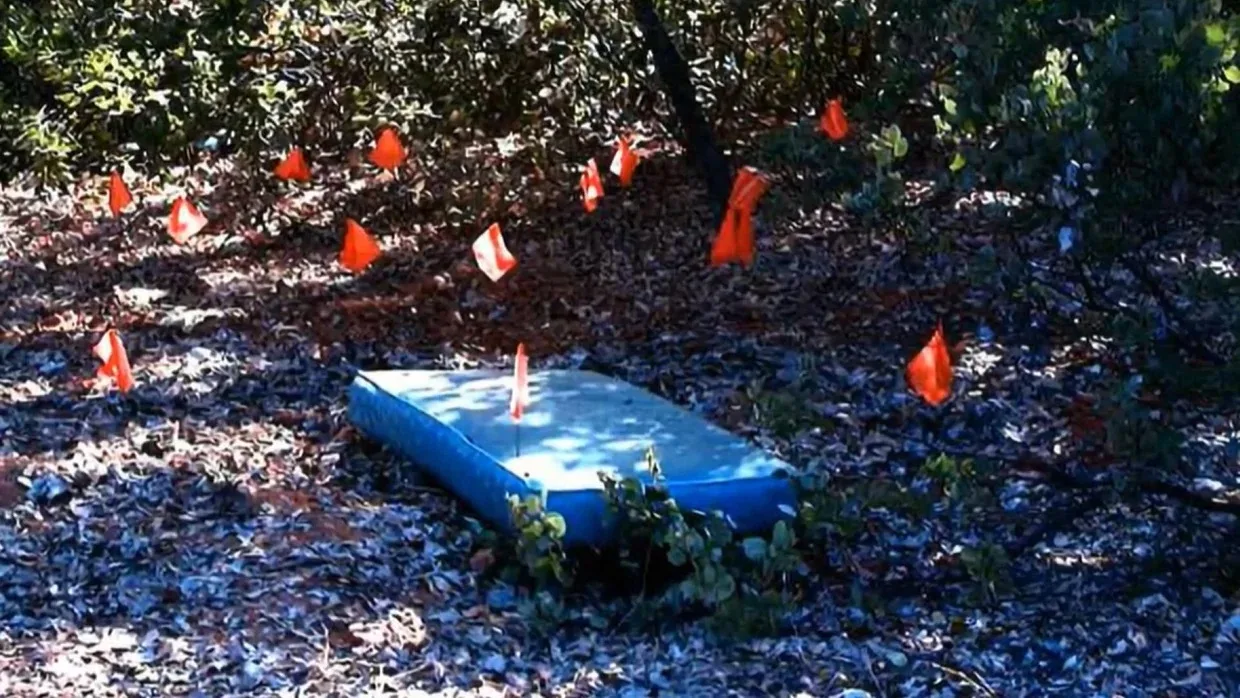 Crime scene