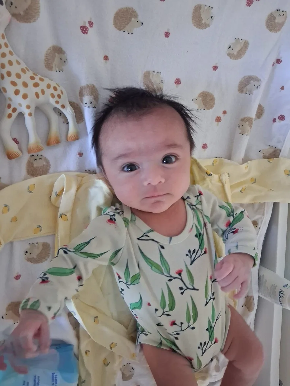 Image of newborn born via surrogacy