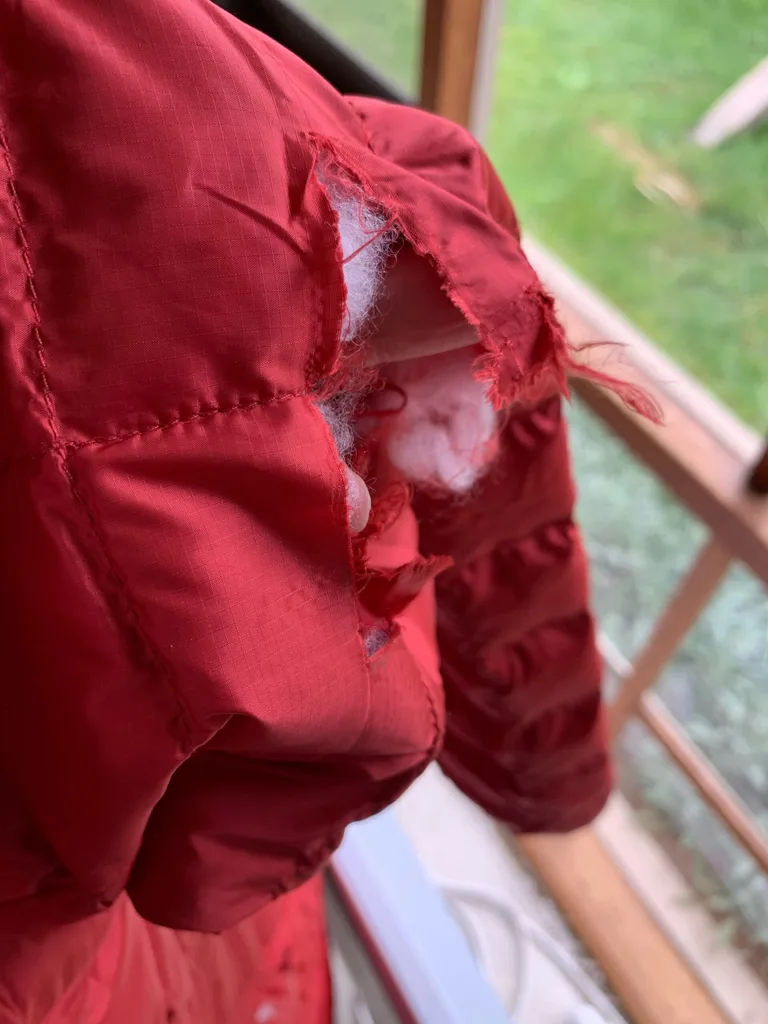 Image of red jacket ripped apart by roo