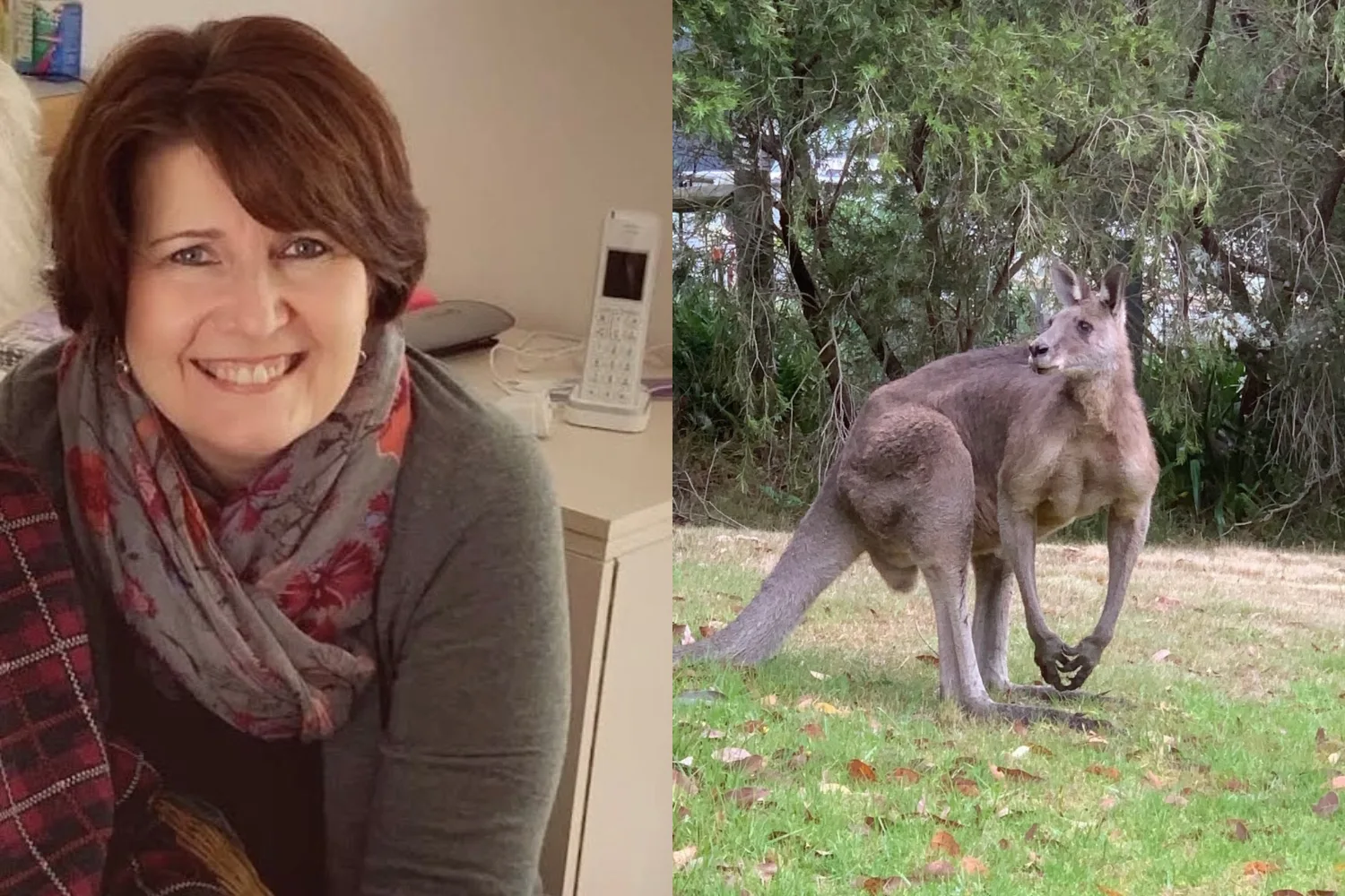 Left image - Woman who survived roo attack Right image - Roo who attacked a woman