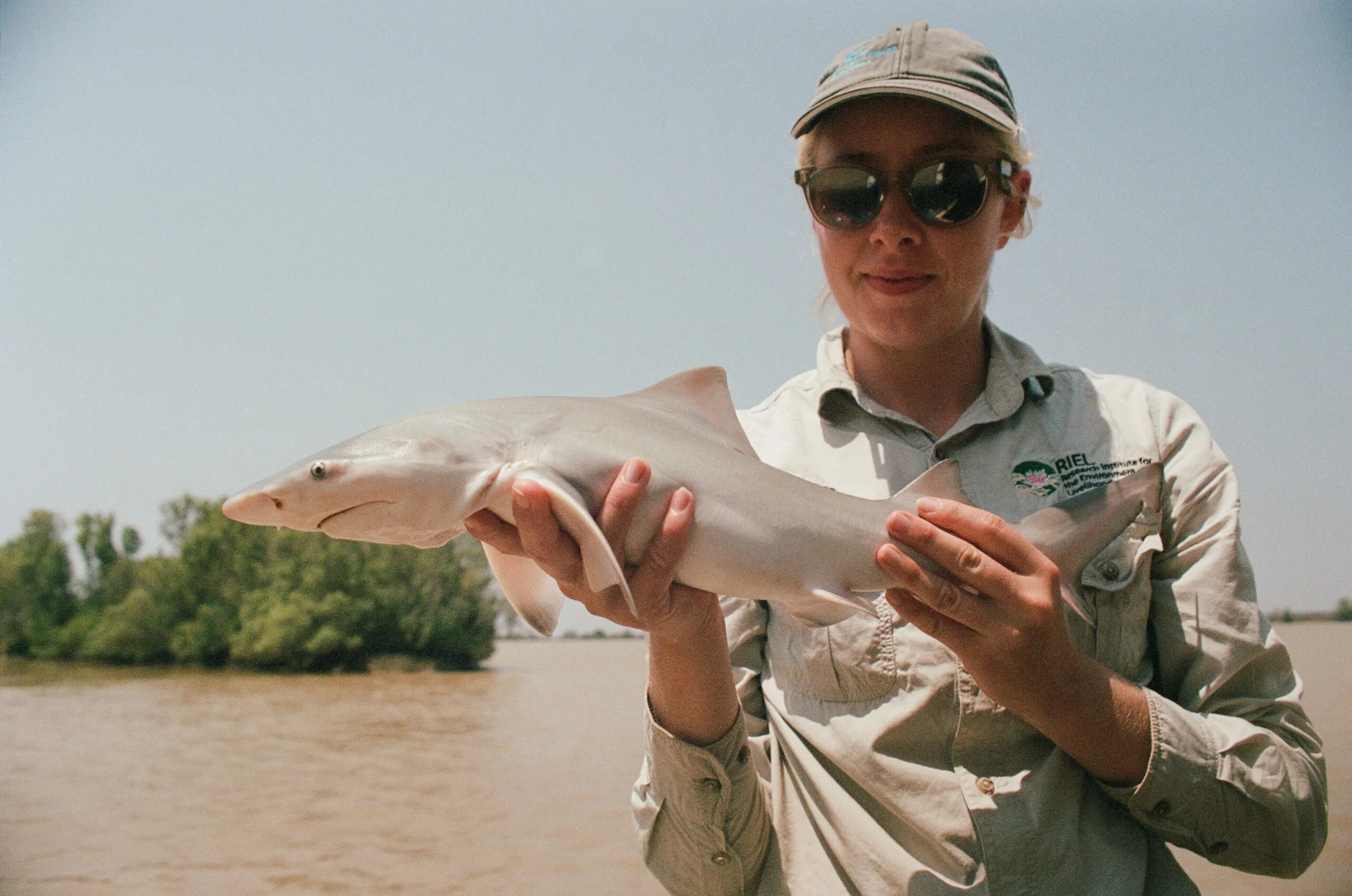 Woman wearing long sleeve button up shirt and holding up speartooth shark.