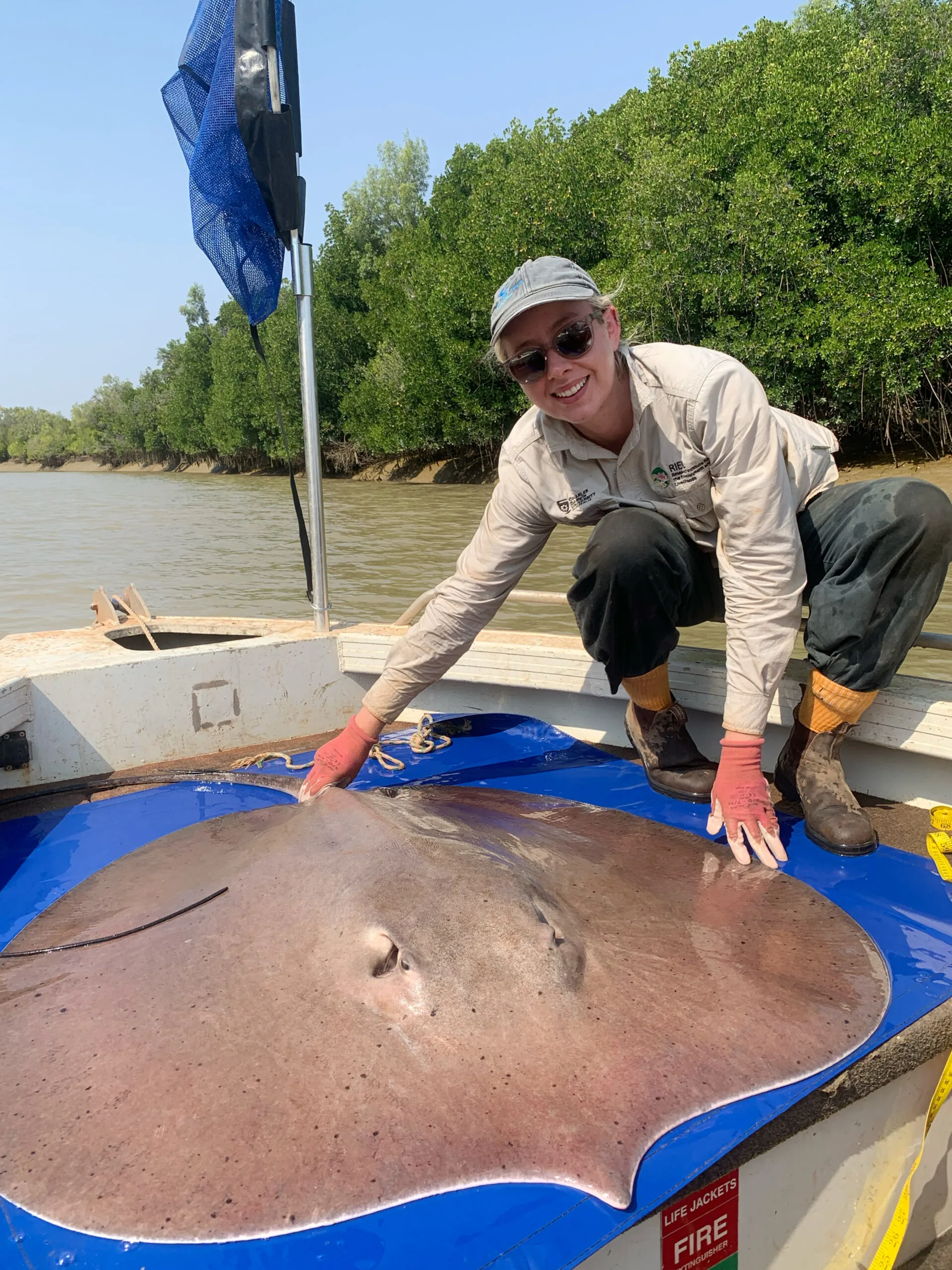 Woman on a boat petting large freshwater Whipray.