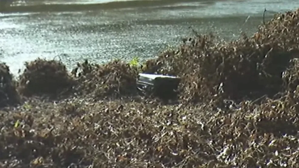 Image of suitcase by the water