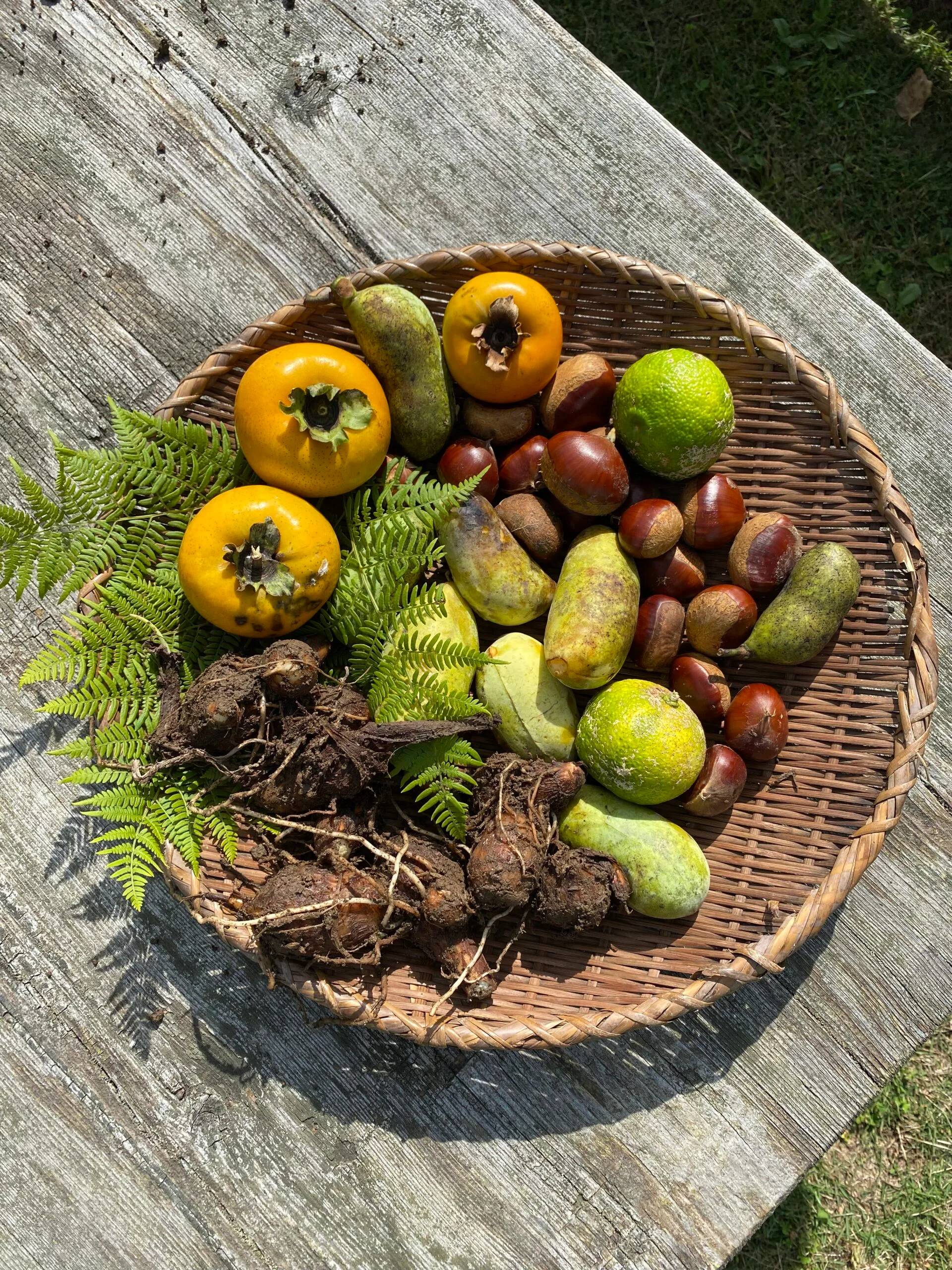 image of freshly harvested fruit and vegetables