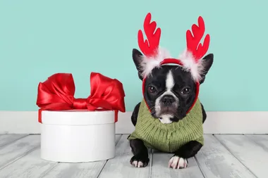 Best Christmas Gifts For Craft Lovers