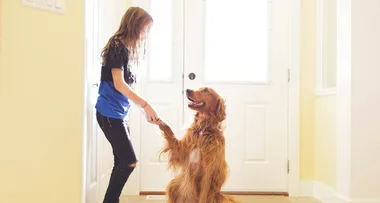 Why we have more empathy for dogs than other humans