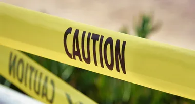 Horror as QLD man falls into wood chipper