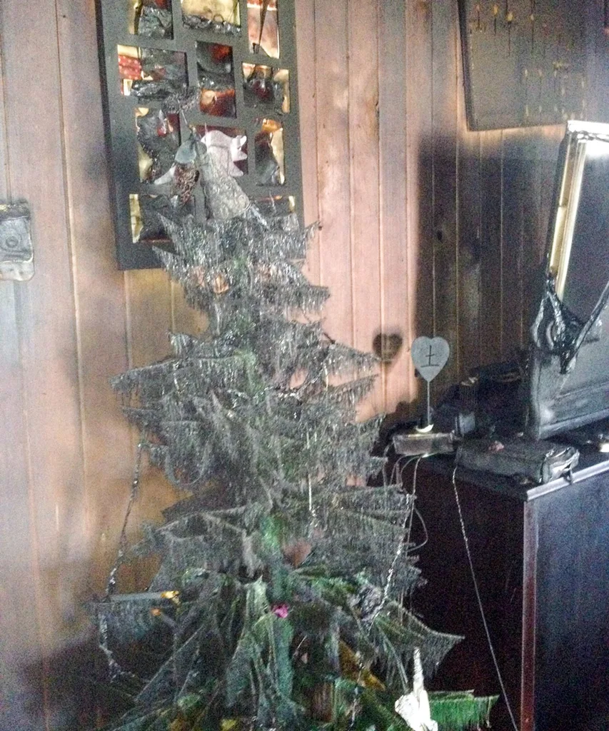 tree