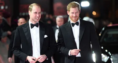 William and Harry are starring in a major movie!
