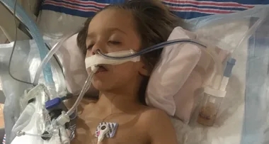 Young boy passes away after touching bat he found in garden