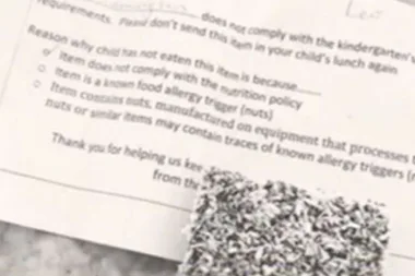 Mum reprimanded for packing a lamington in her child’s lunchbox