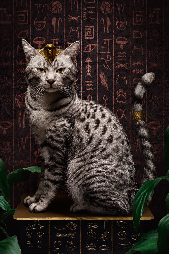 Asar gets an Egyptian makeover