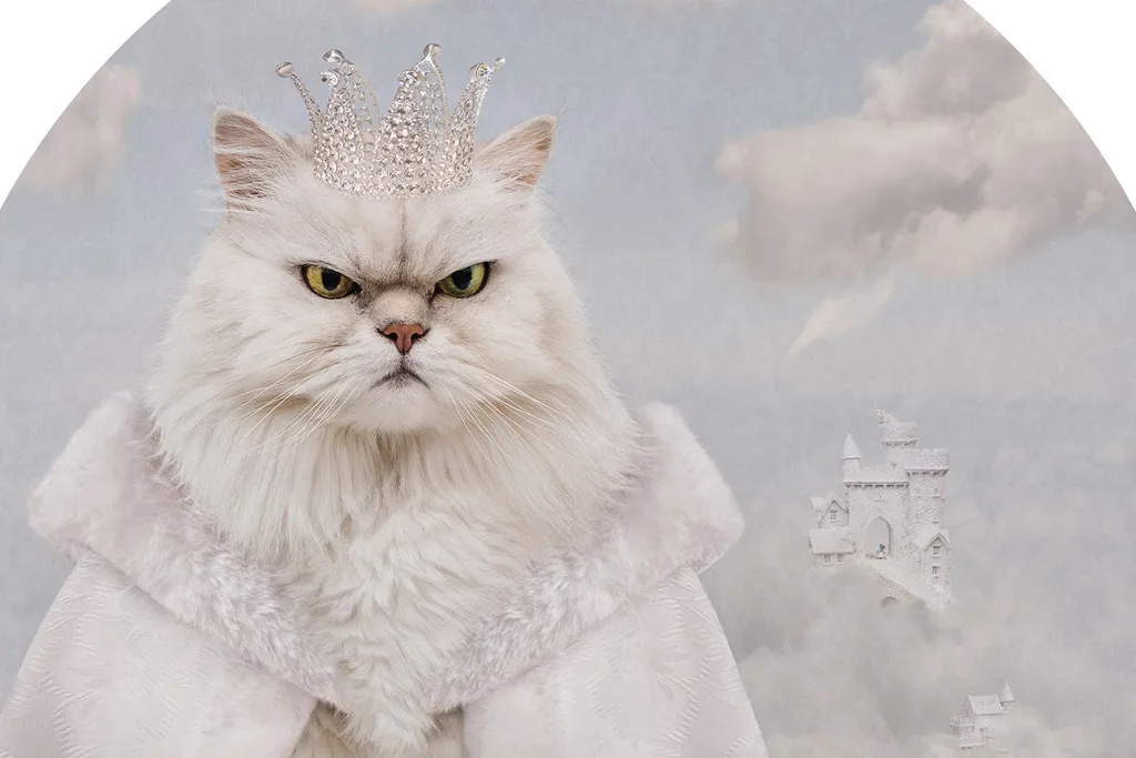 Cloud Conqueror